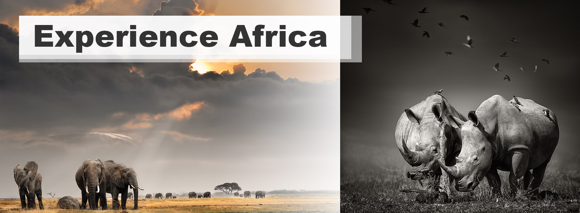 Experience-Africa