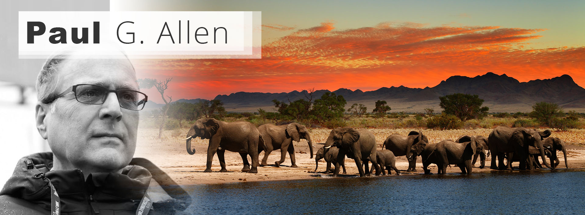 Paul-G-Allen