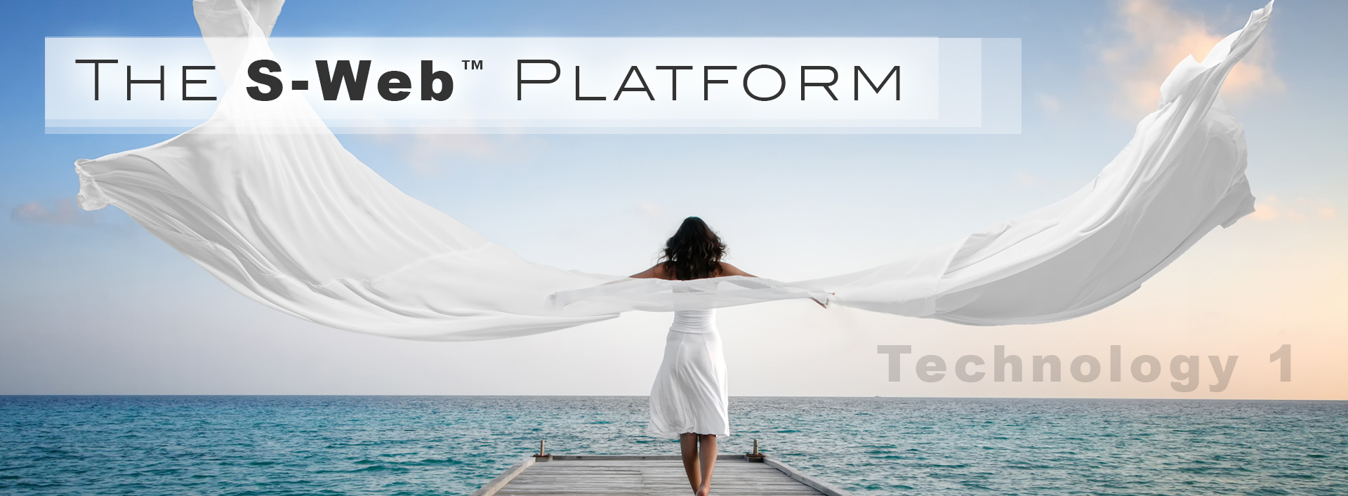 The-S-Web-Platform--Technology-1